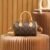 M81085 (1) LOUIS VUITTON Speedy Nano M81085