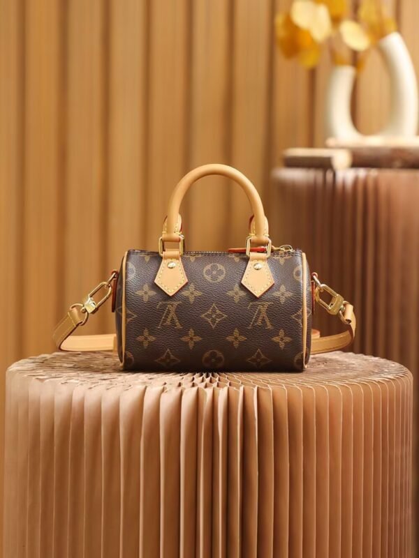 M81085 (1) LOUIS VUITTON Speedy Nano M81085