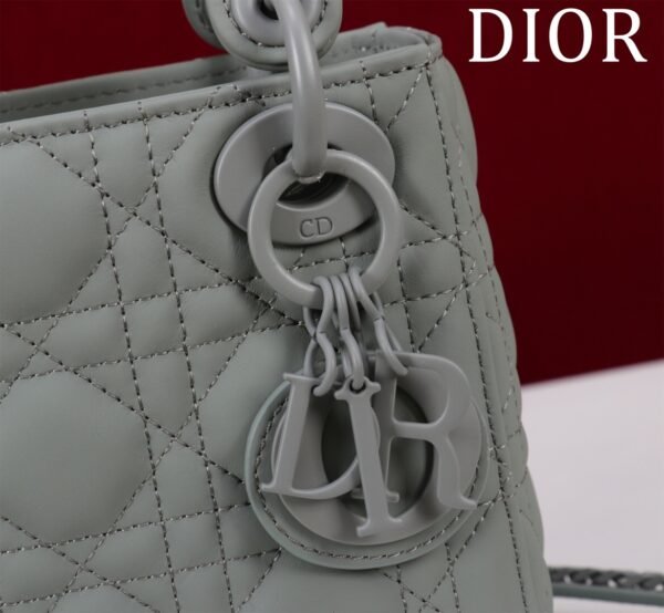 M0505SLOI_M989-1 (3) Mini Lady Dior Bag