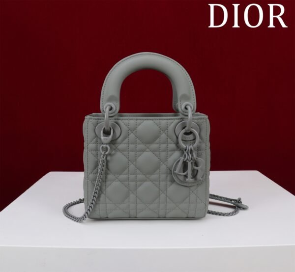 M0505SLOI_M989-1 (6) Mini Lady Dior Bag