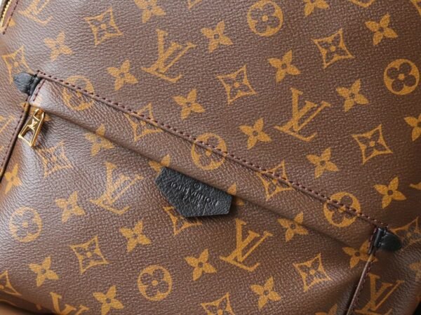 M44874 (5) Louis Vuitton Palm Springs Backpack M44874/M44871