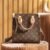 M45847 (1) LOUIS VUITTON SAC PLAT BB M45847