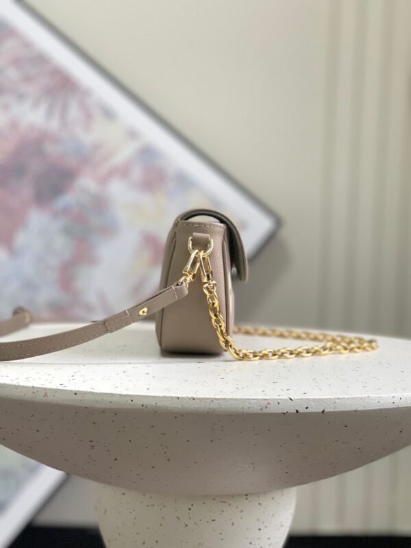 LOUIS VUITTON Wallet On Chain Ivy M82211