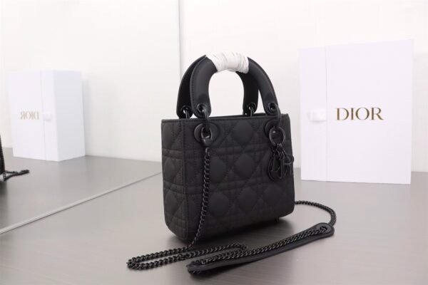 M0505SLOI_M989 Mini Lady Dior Bag