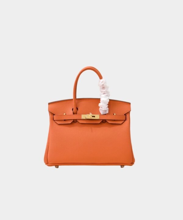 Hermès Birkin bag 25 Gold buckle