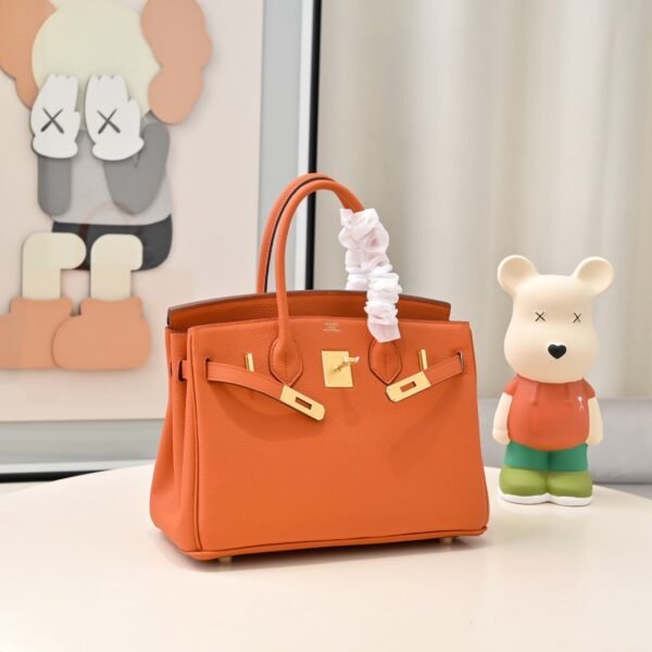 Hermès Birkin bag 25 Gold buckle