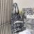 Small Dior Tote Bag Jouy print embroidery
