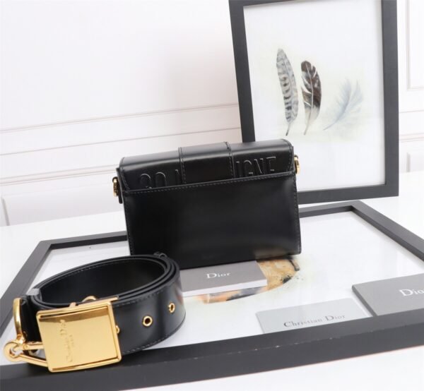 DIOR Mini 30 Montaigne Bag