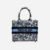 Book Tote-S Dior Book tote