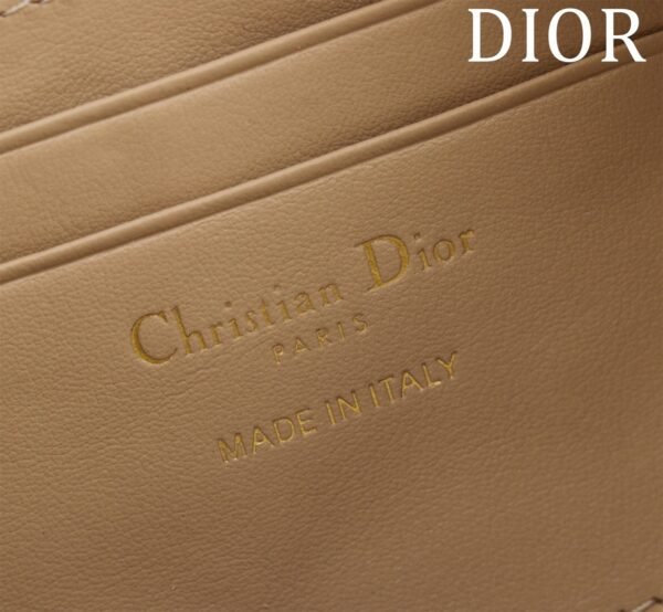 Cigale (4) DIOR 30 Montaigne Wanderlust Mini Bag