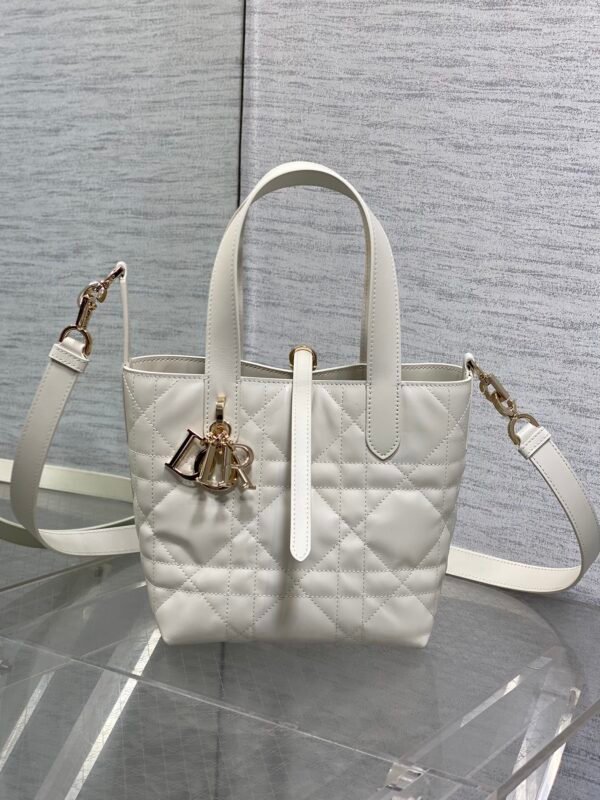 Small Dior Toujours Vertical Tote Bag black