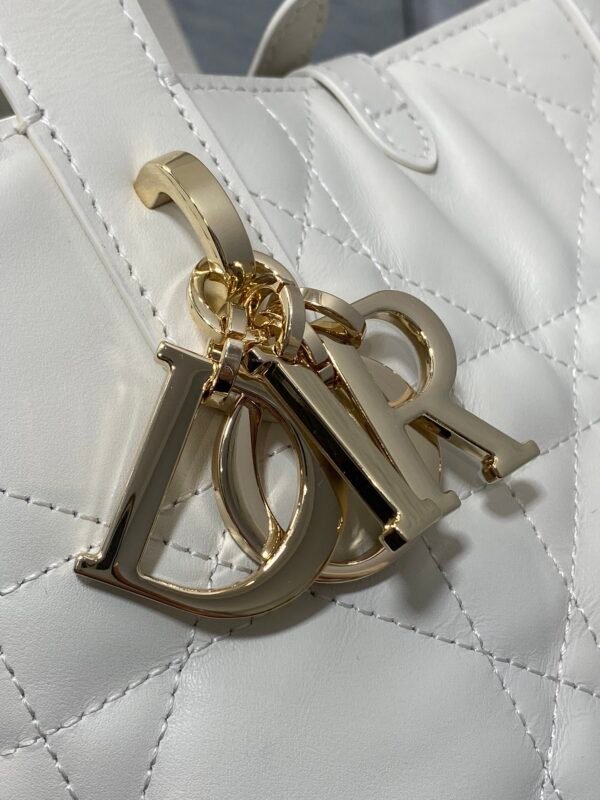 Small Dior Toujours Vertical Tote Bag black