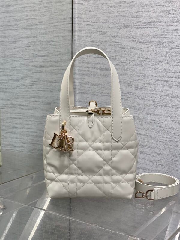 Small Dior Toujours Vertical Tote Bag black