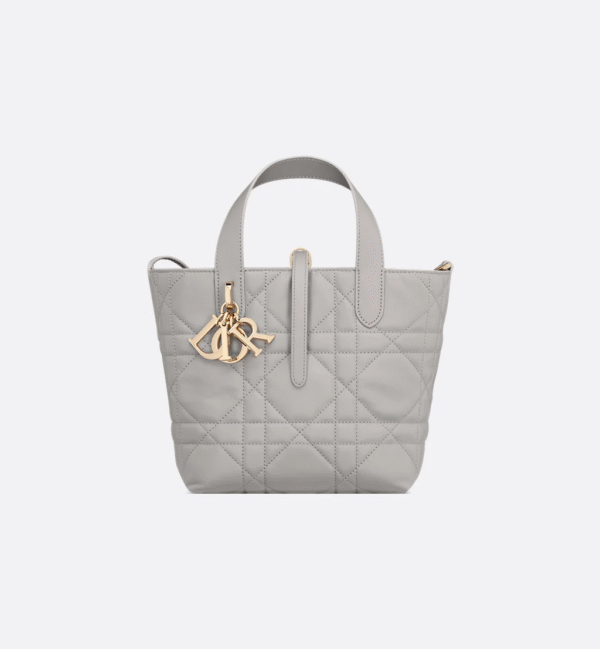 Small Dior Toujours Vertical Tote Bag Gray