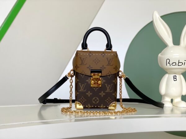 M82465 (5) LOUIS VUITTON Camera Box M82465