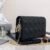 Lady Dior Pouch Black