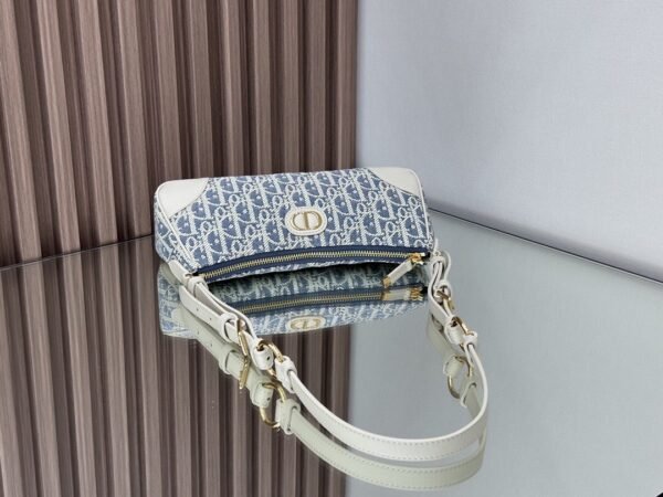 DIOR 30 Montaigne Wanderlust Mini Bag