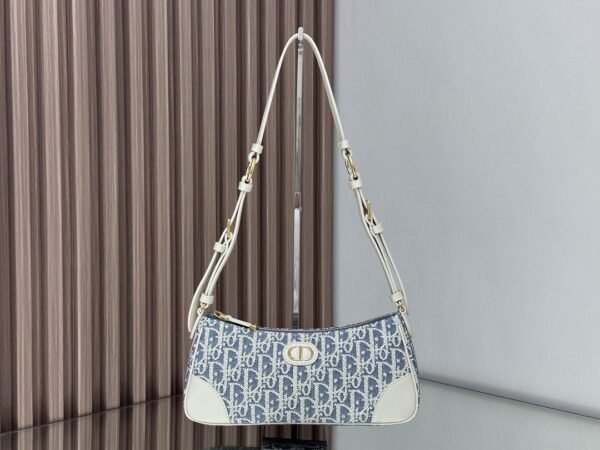 DIOR 30 Montaigne Wanderlust Mini Bag