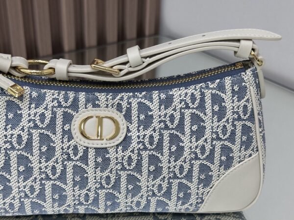 DIOR 30 Montaigne Wanderlust Mini Bag