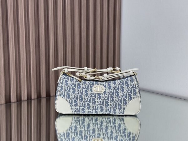 DIOR 30 Montaigne Wanderlust Mini Bag
