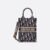 S5555CRIW_M928 (1) Mini Vertical Dior Book Tote