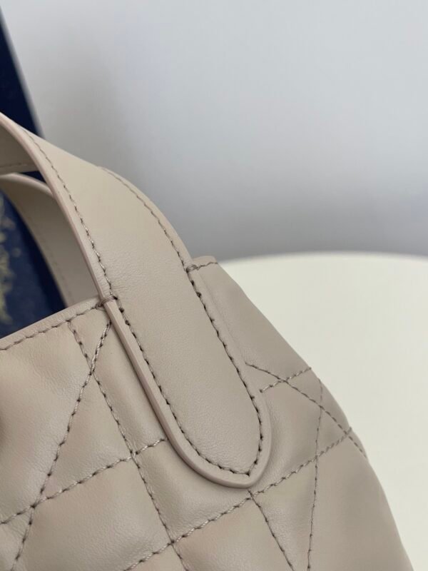 Dior Toujours Vertical Nano Tote Bag Beige