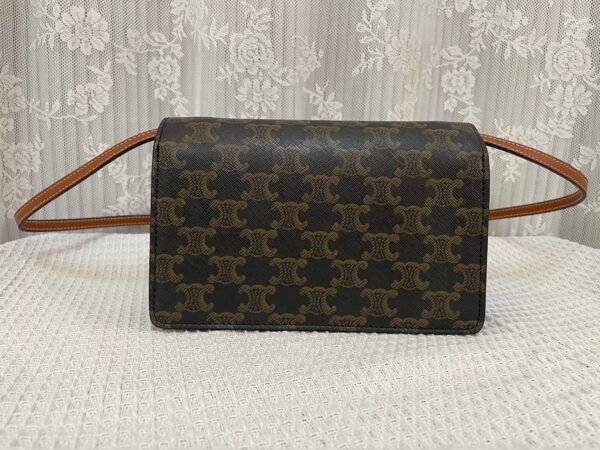 10D852CG9-04LU (1) Celine Wallet on strap in Triomphe Canvas and Smooth Lambskin