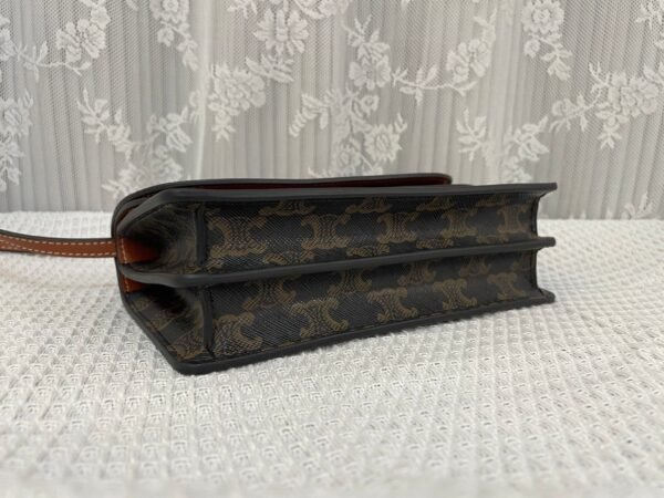 10D852CG9-04LU (4) Celine Wallet on strap in Triomphe Canvas and Smooth Lambskin