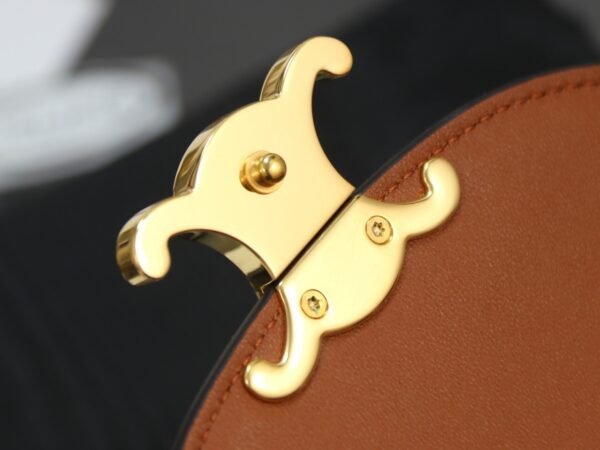 CELINE MINI BESACE CLEA in Triomphe canvas and calfskin