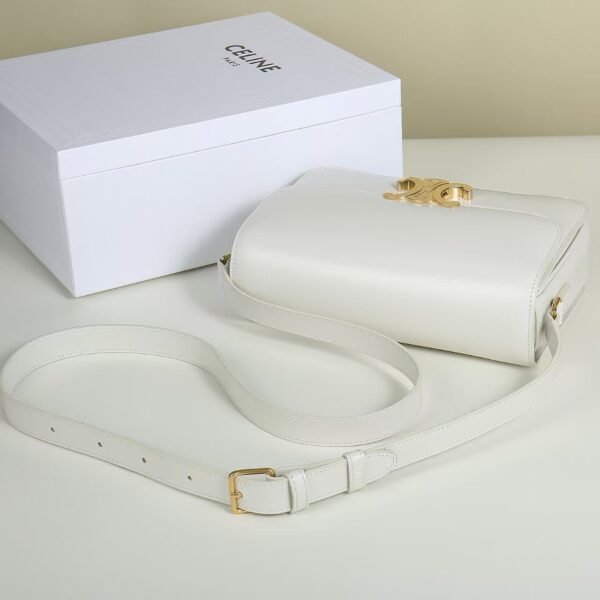 Celine CLASSIQUE TRIOMPHE BAG IN shiny calfskin