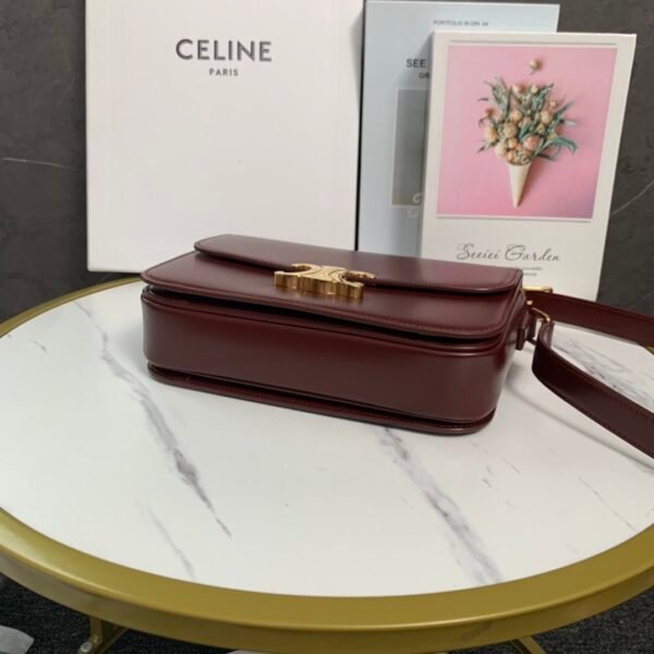 Celine CLASSIQUE TRIOMPHE BAG IN shiny calfskin