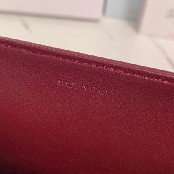 Celine CLASSIQUE TRIOMPHE BAG IN shiny calfskin