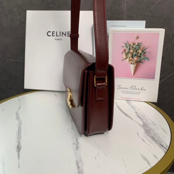 Celine CLASSIQUE TRIOMPHE BAG IN shiny calfskin