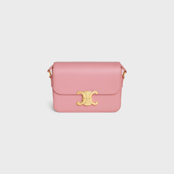 Celine Teen Triomphe Bag in shiny calfskin