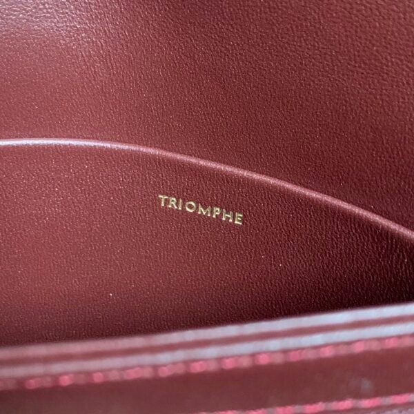 188423BF4-28LB (5) Celine TEEN TRIOMPHE BAG IN shiny calfskin