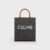 194372BZK-04LU-1 (1) Celine Small Vertical Cabas in Triomphe Canvas with Celine Print