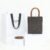 Celine Mini Vertical Cabas IN Triomphe Canvas with Celine print
