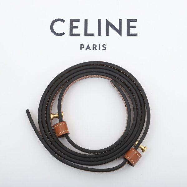 Celine Mini Vertical Cabas IN Triomphe Canvas with Celine print