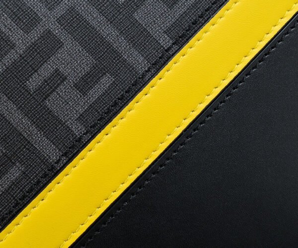 Fendi Diagonal Camera Case