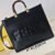 Fendi Sunshine Medium