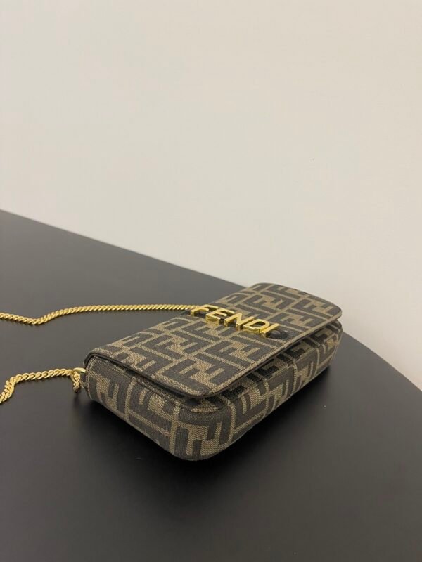 Fendigraphy Wallet On Chain