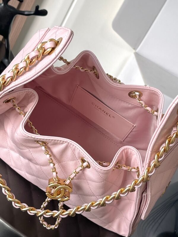 CHANEL 25 Calfskin Hobo Bag Small Handbag