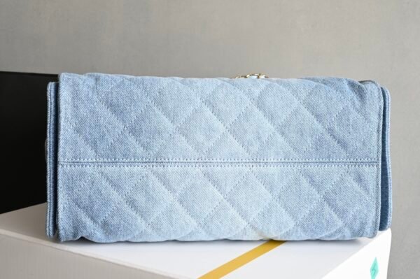 CHANEL B20603 (5) CHANEL 25 Calfskin Hobo Bag Small Handbag