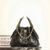 CHANEL 25 Calfskin Hobo Bag Small Handbag