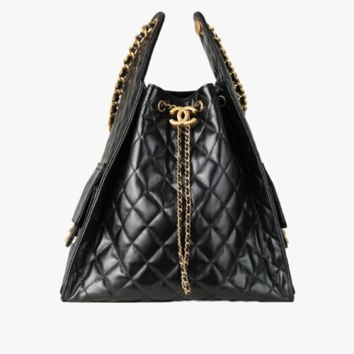 CHANEL Chanel 25 Bag Medium Hobo Bag AS5311