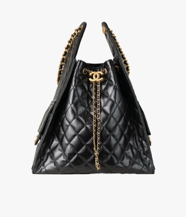 Chanel AS5311 (1) CHANEL Chanel 25 Bag Medium Hobo Bag AS5311