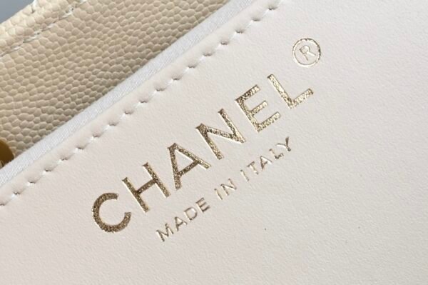 CHANEL 25 Calfskin Hobo Bag Small Handbag