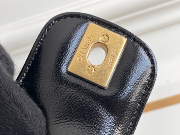 CHANEL Cocodoc large quilted shiny lambskin bag