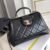 CHANEL Cocodoc large quilted shiny lambskin bag