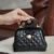 Chanel Cocodoc Bag Small in Shiny Lambskin Quilted